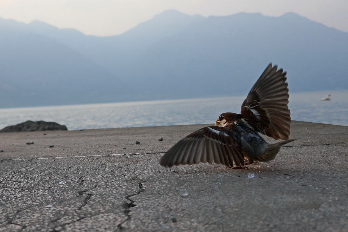 05-Beute-ROK-5.5 Beute (Foto: Roland Kastner)