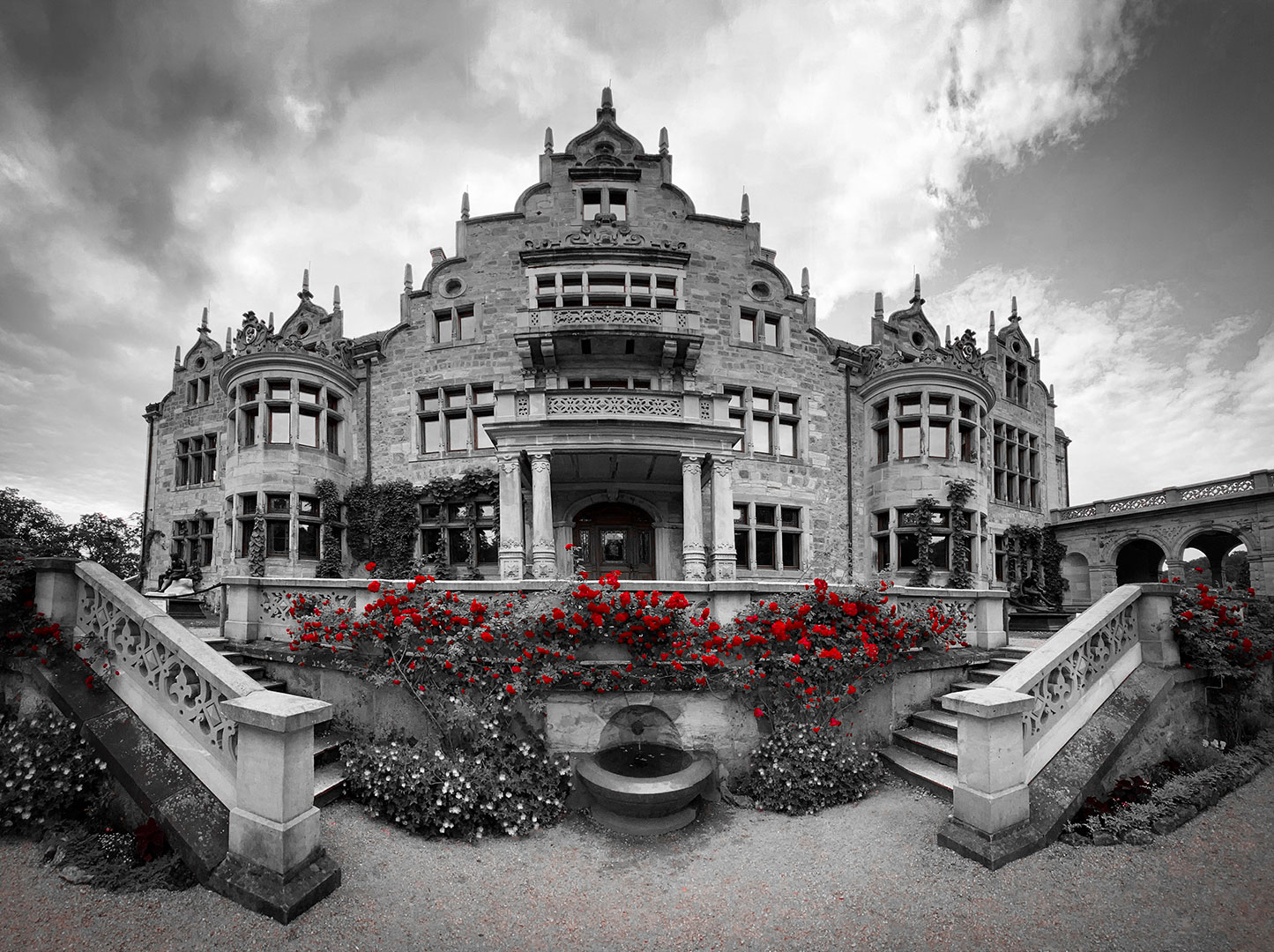 Erwacht (Foto: Manuela Hahnebach)