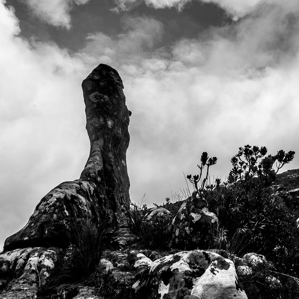 Fotoclub
