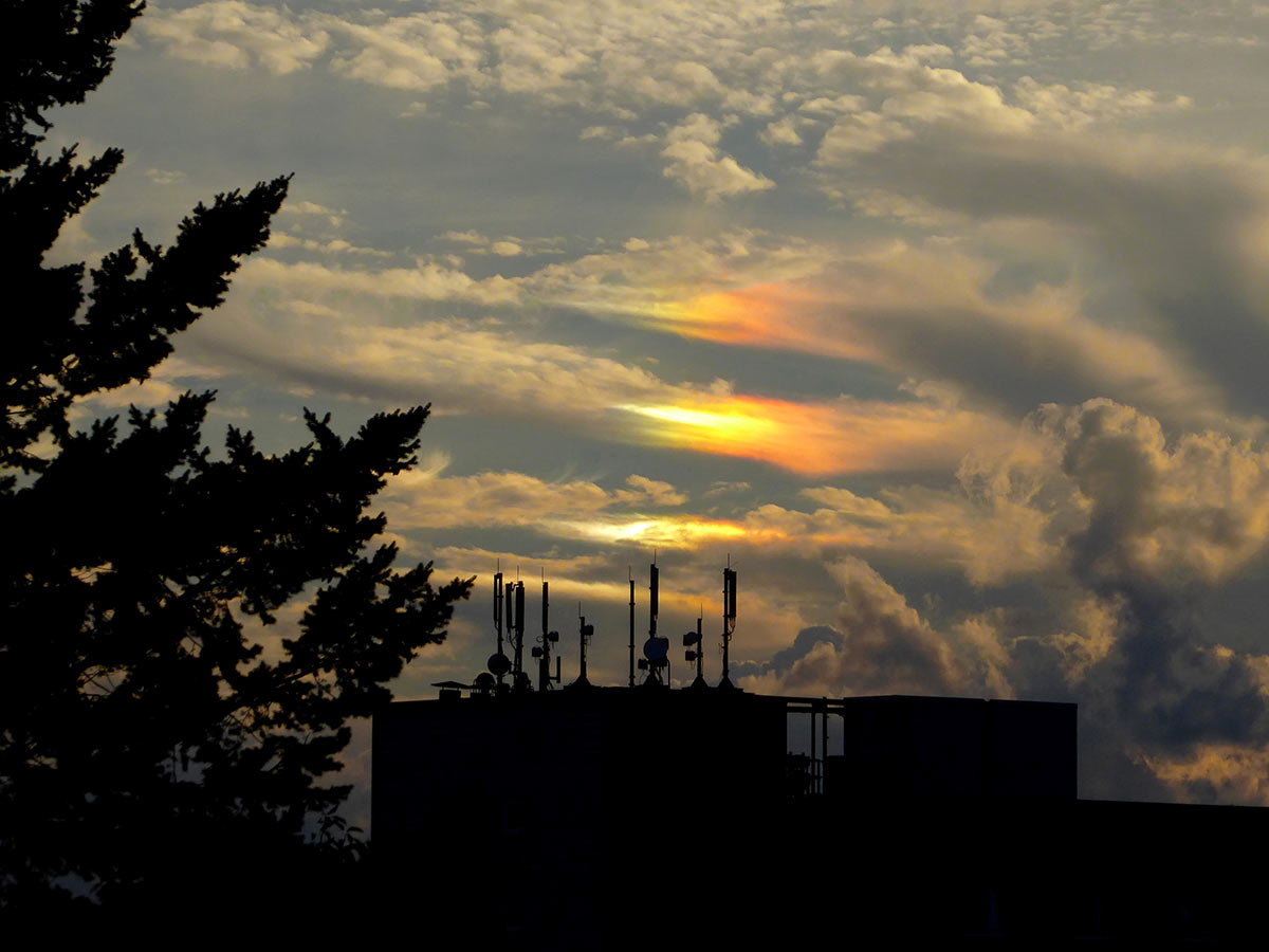 10-halo-P1070401-mhi-5.75 Halo (Foto: Manfred Hiersemann)