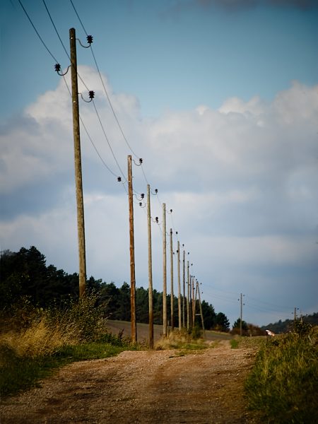 Alter Landweg (Foto: Peter Zastrow)
