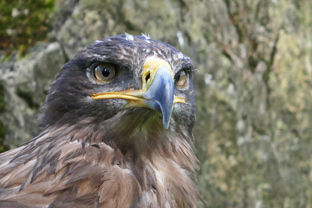 12-ich-seh-dich-5 Ich seh dich (Foto: Roland Kastner)