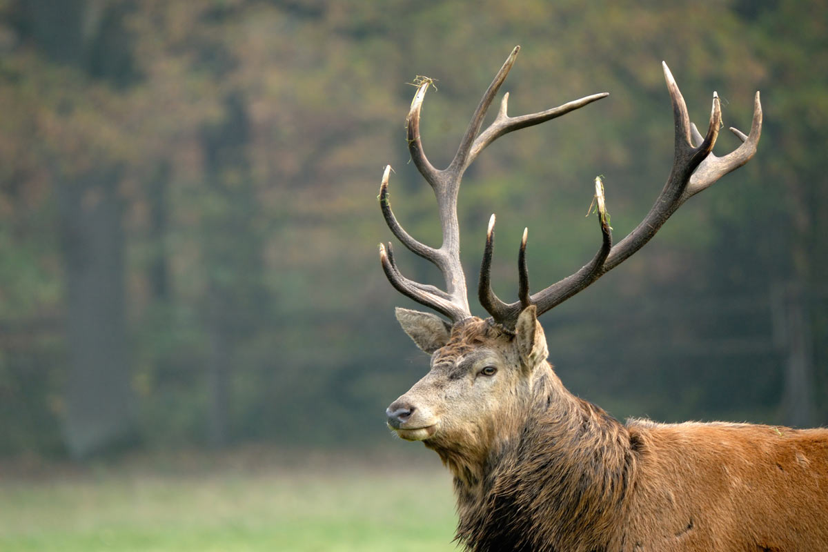 Fotoclub: Bild des Monats 10.2023