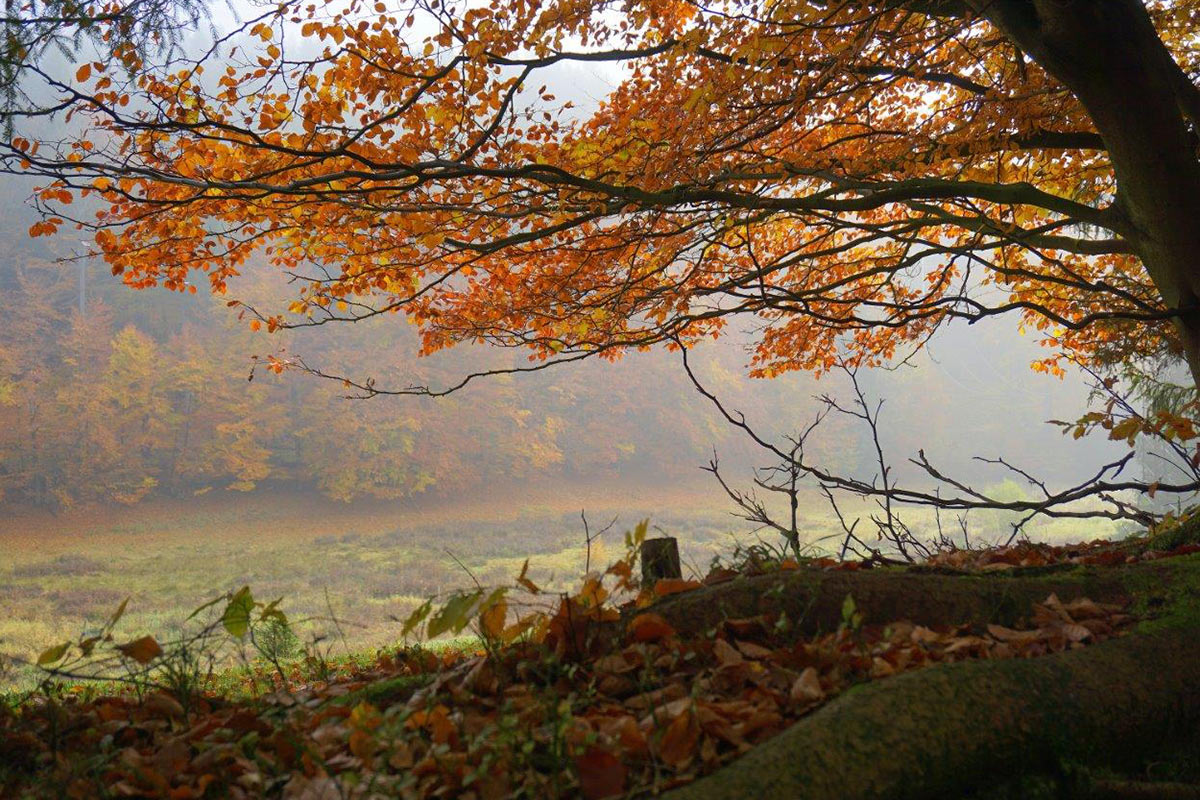 Fotoclub: Bild des Quartals 3.2025