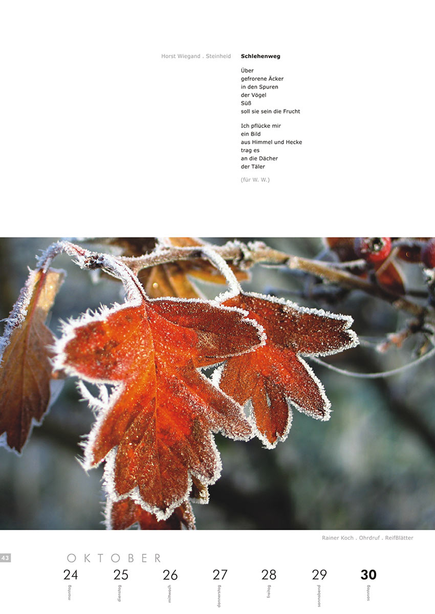 2004-Literaturkalender-Thueringer-Ansichten-2005-43 Schlehenweg (Text: Horst Wiegand) | Reifblätter (Foto: Rainer Koch) . Literaturkalender Thüringer Ansichten 2005