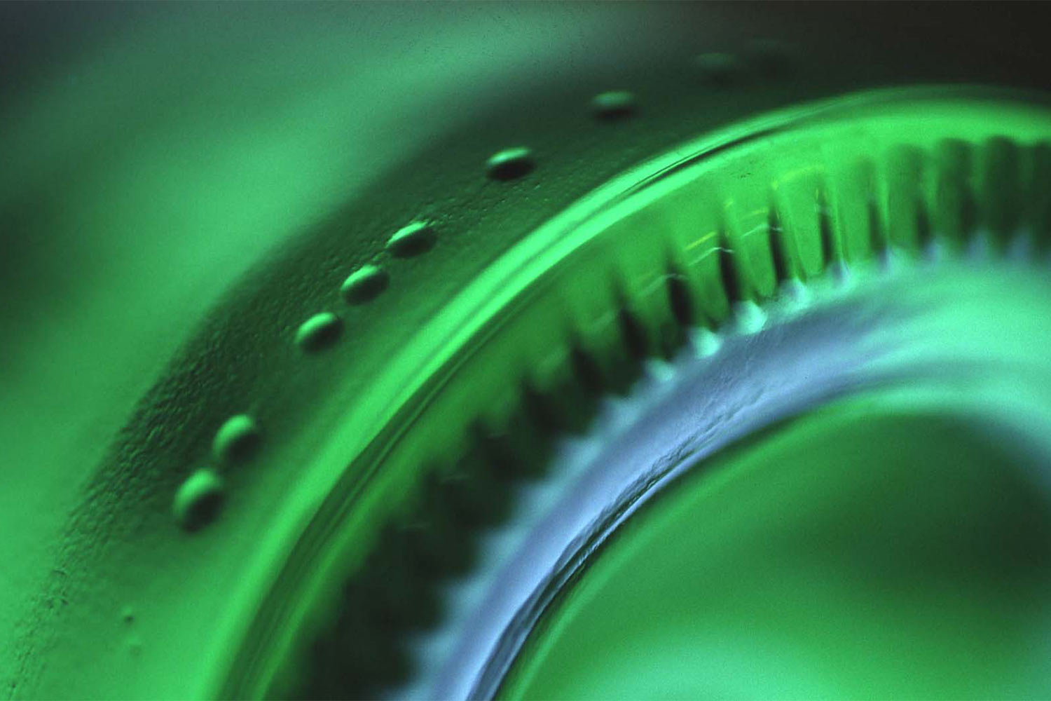Fotoclub: Bild des Quartals 3.2025