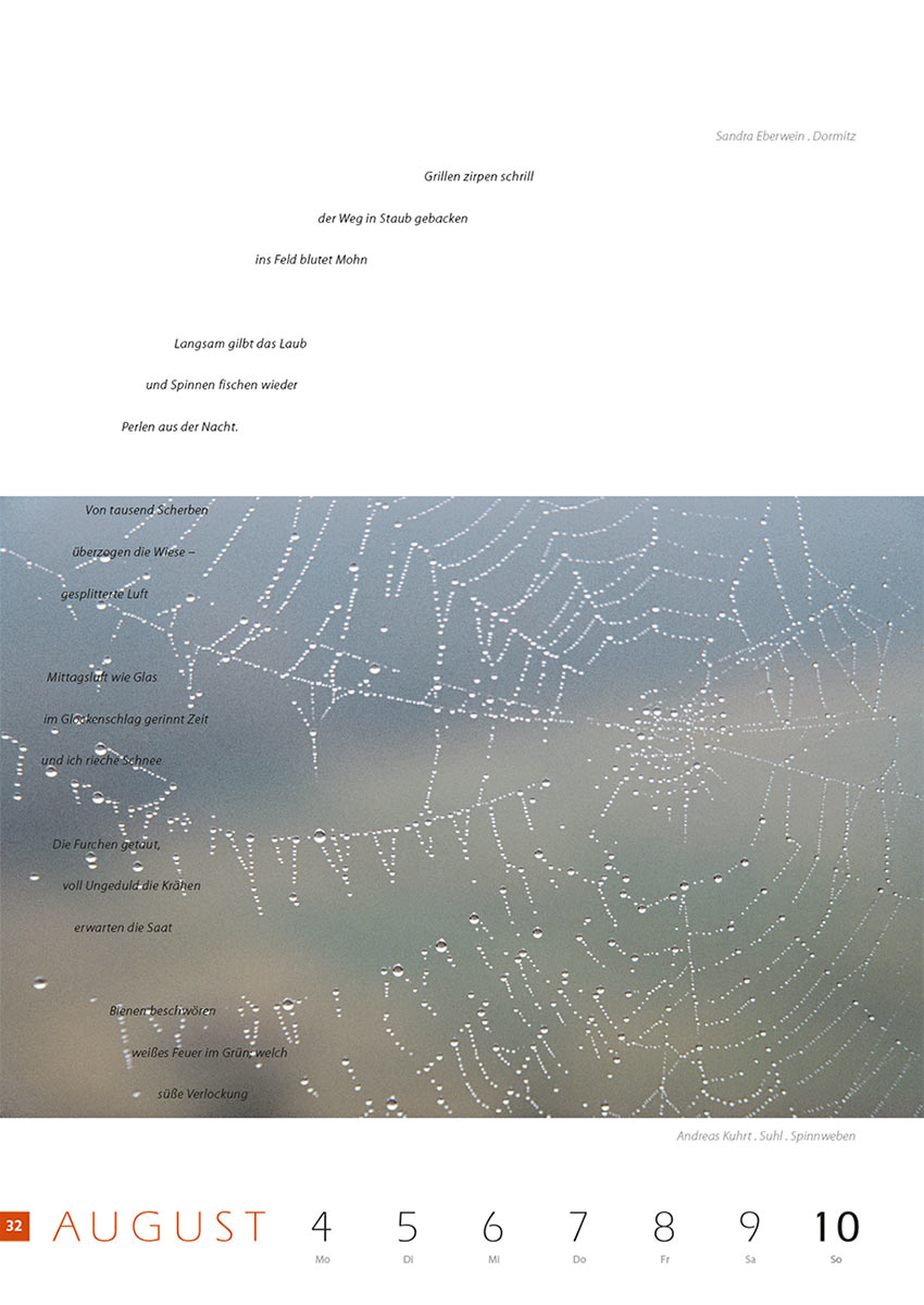 2007-Literaturkalender-Thueringer-Ansichten-2008-32 Grillen zirpen schrill... (Text: SandraEberwein) | Spinnweben (Foto: Andreas Kuhrt) . Literaturkalender Thüringer Ansichten 2008