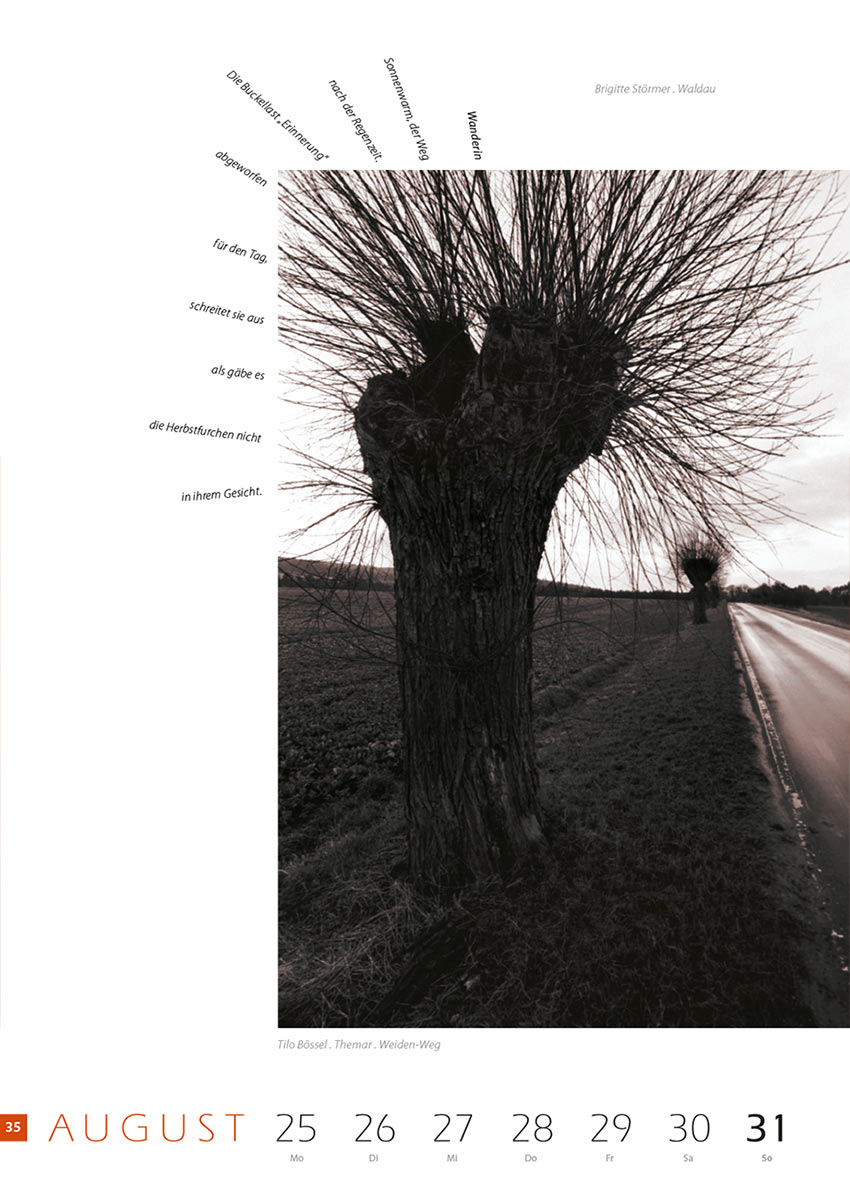 2007-Literaturkalender-Thueringer-Ansichten-2008-35 Wanderin (Text: Brigitte Störmer) | Weiden-Weg (Foto: Tilo Bössel) . Literaturkalender Thüringer Ansichten 2008