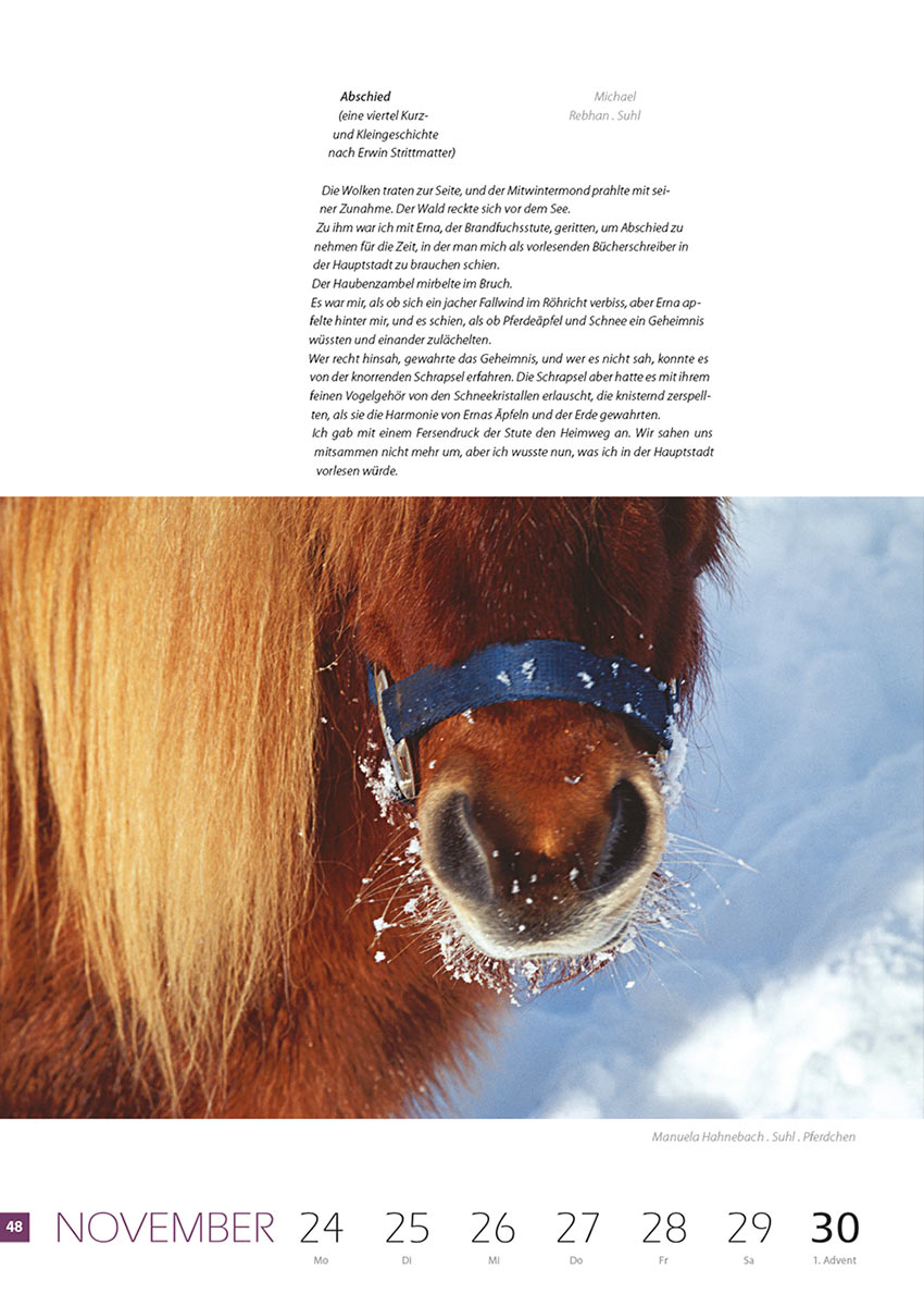 2007-Literaturkalender-Thueringer-Ansichten-2008-48 Abschied (Text: Michael Rebhan) | Pferdchen (Foto: Manuela Hahnebach) . Literaturkalender Thüringer Ansichten 2008