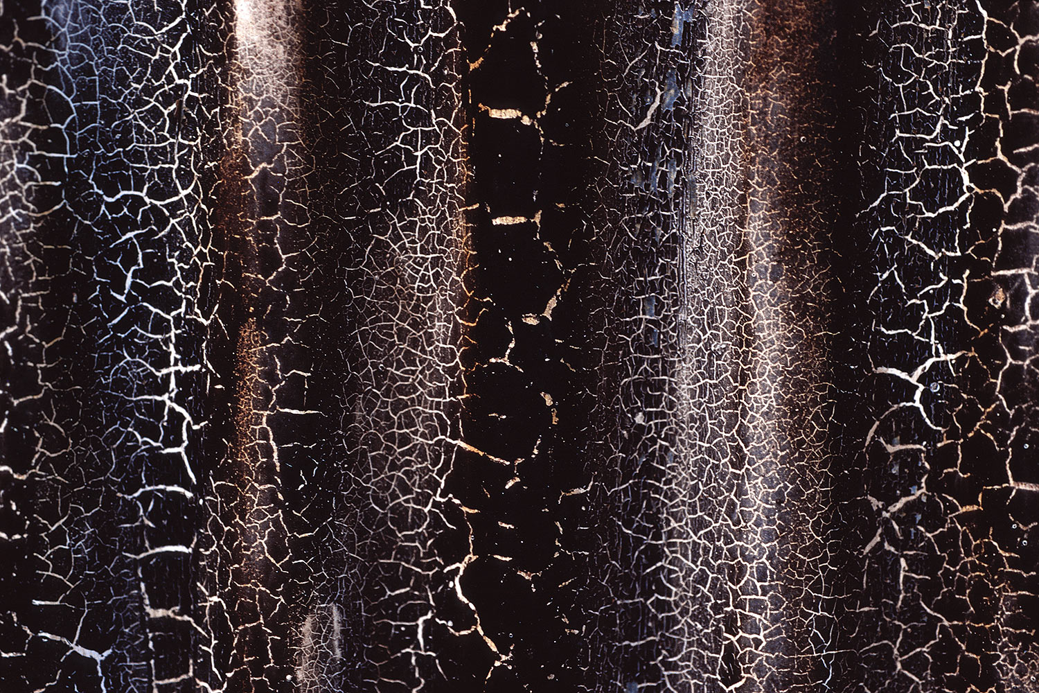 Schuppen (Foto: Andreas Kuhrt)