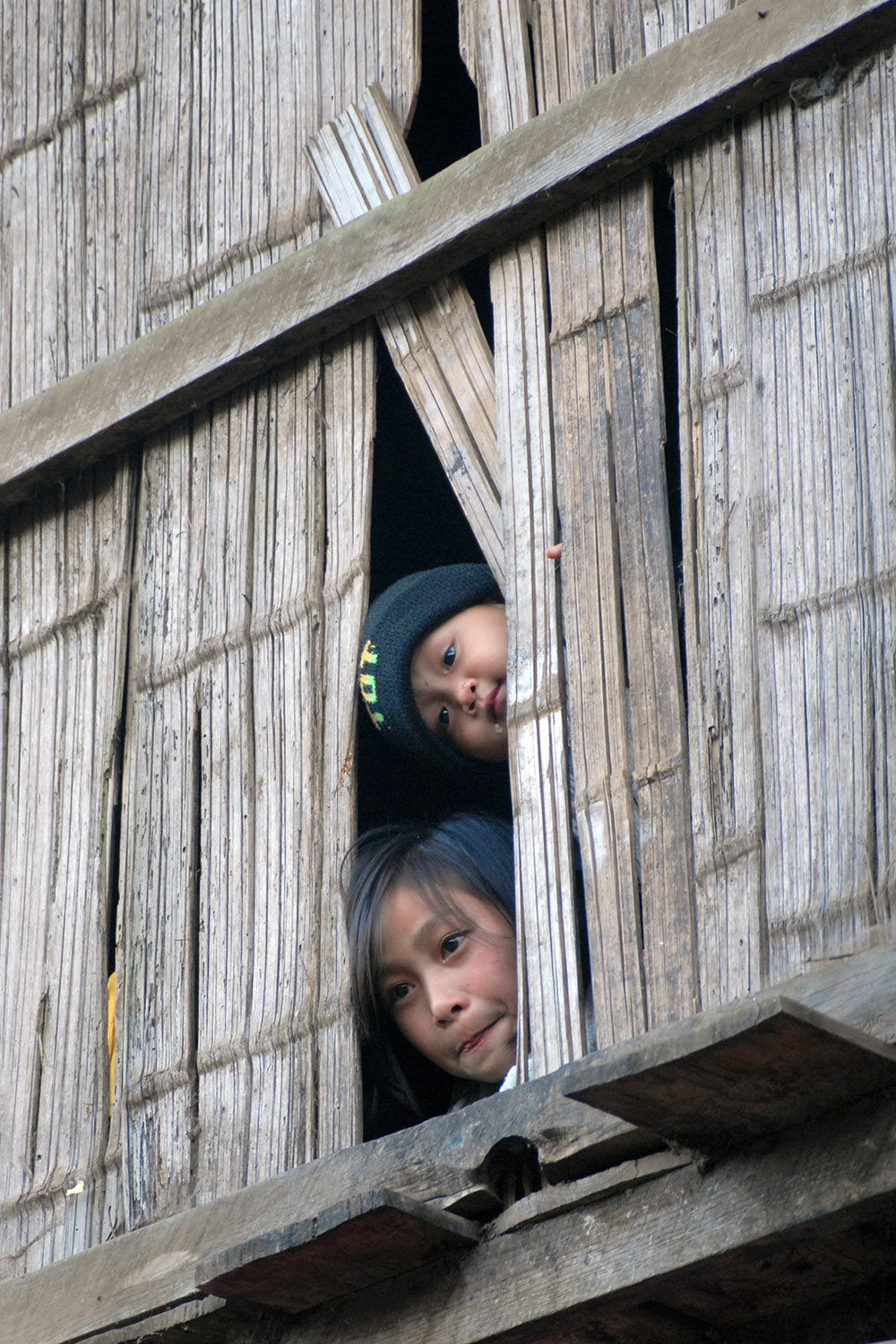 2008-03-01-neugierig-003_1691-mh-1 Neugierig (Foto: Manuela Hahnebach)