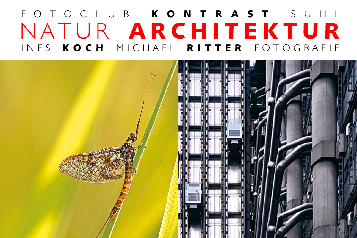 Fotoausstellung "Natur Architektur" Ines Koch + Michael Ritter . Altes Rathaus Suhl 2008