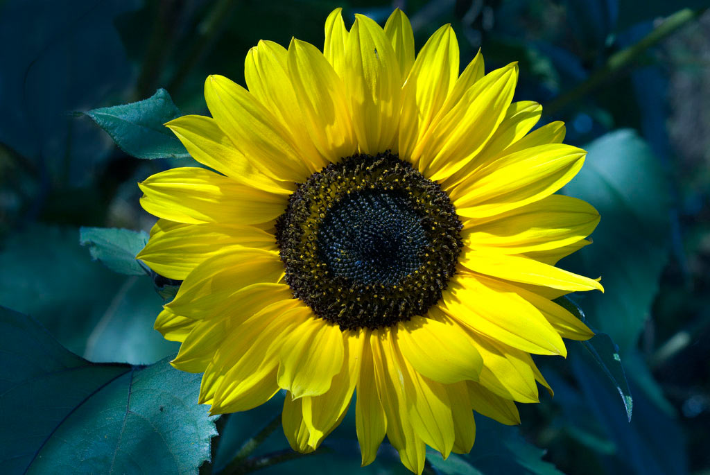 2009-04-02_sandra-heussinger_15 (Foto: Sandra Heußinger)