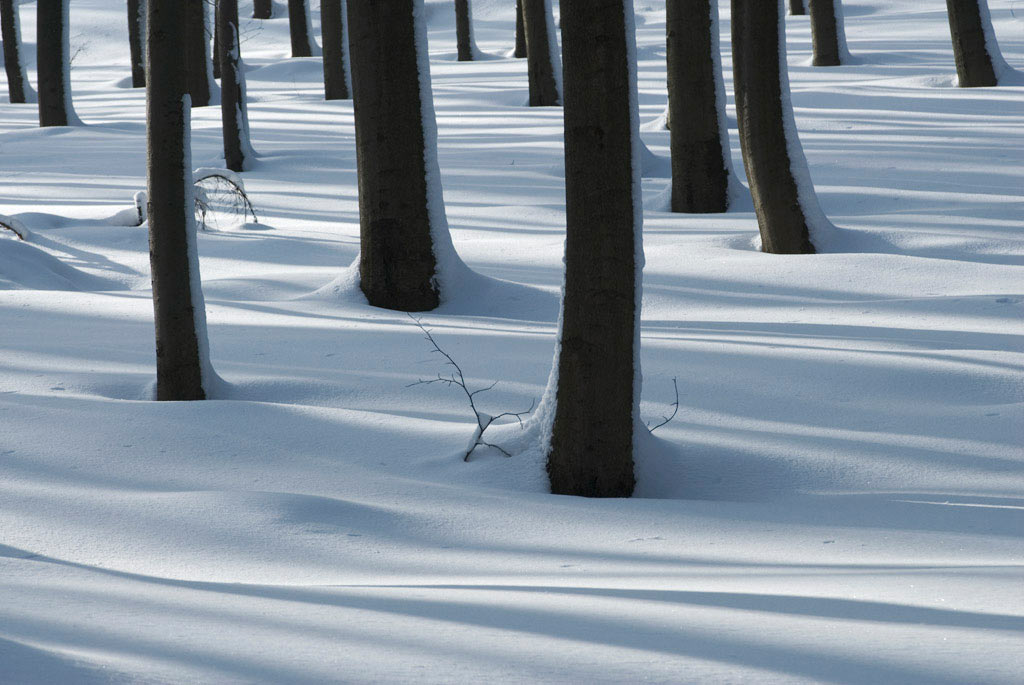 2009-04-04_manuela-hahnebach_18 (Foto: Manuela Hahnebach)