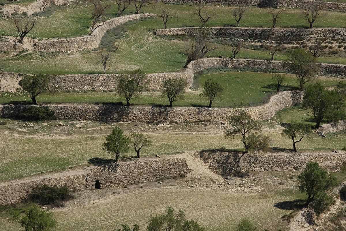 2009-04-07_ute-zohles_14 (Foto: Ute Zohles)