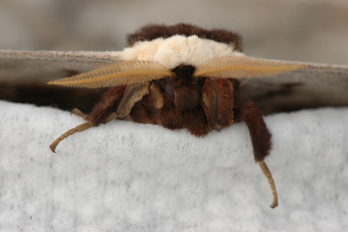 2009-04-09_ute-zohles_13 (Foto: Ute Zohles)