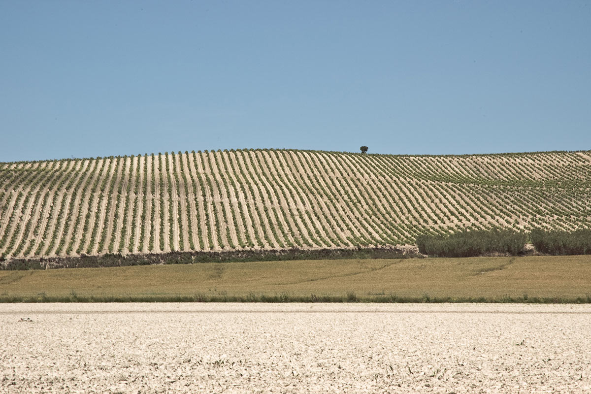 2009-04-12_ute-zohles_17 (Foto: Ute Zohles)