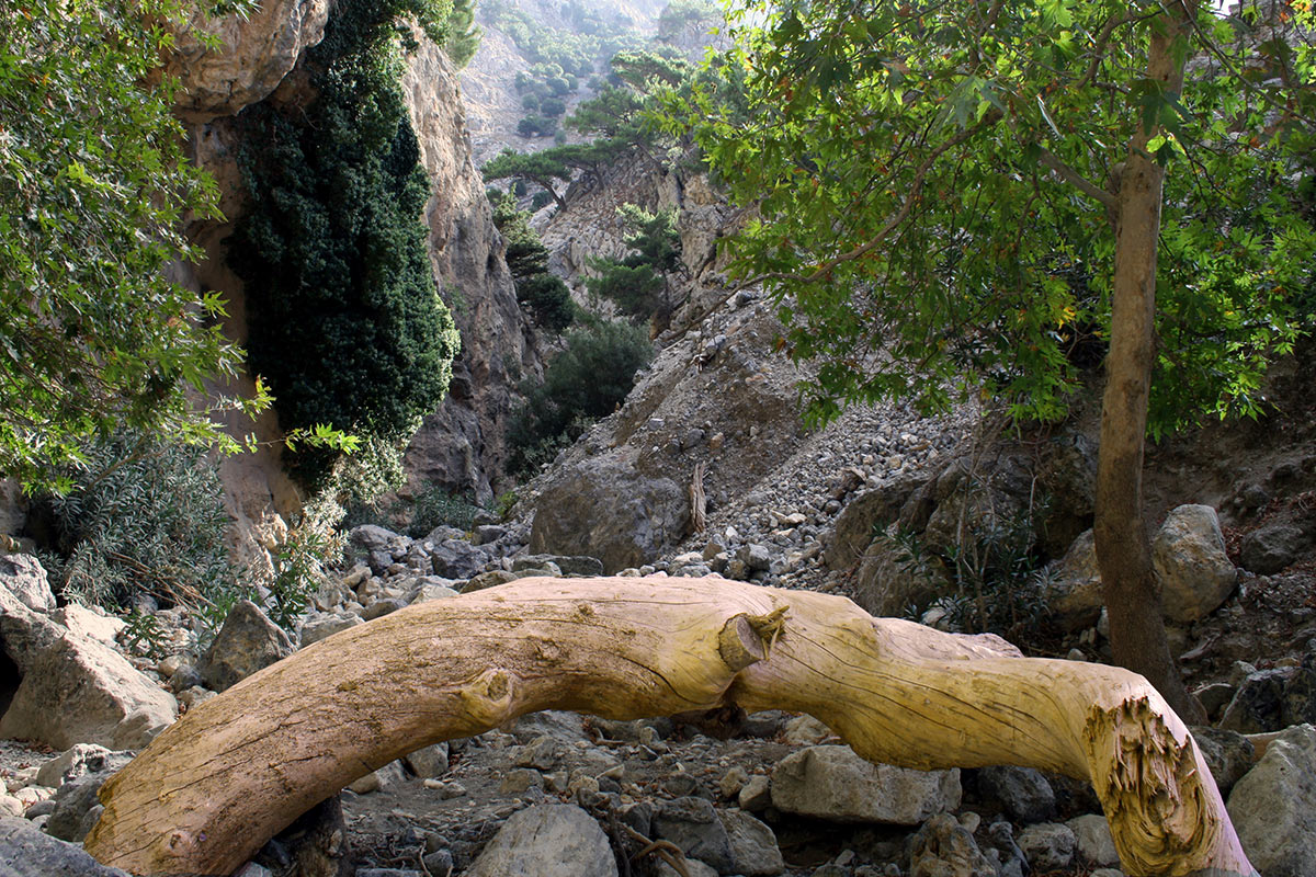 2009-04-27_peter-schmidt_14 (Foto: Peter Maximilian Schmidt)