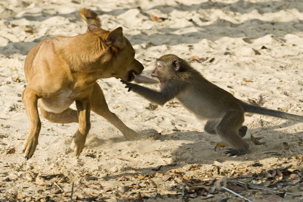 2009-04-28_sandra-heussinger_20 Streit (Foto: Sandra Heußinger)