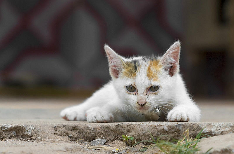 2009-04-29_sandra-heussinger_18 (Foto: Sandra Heußinger)