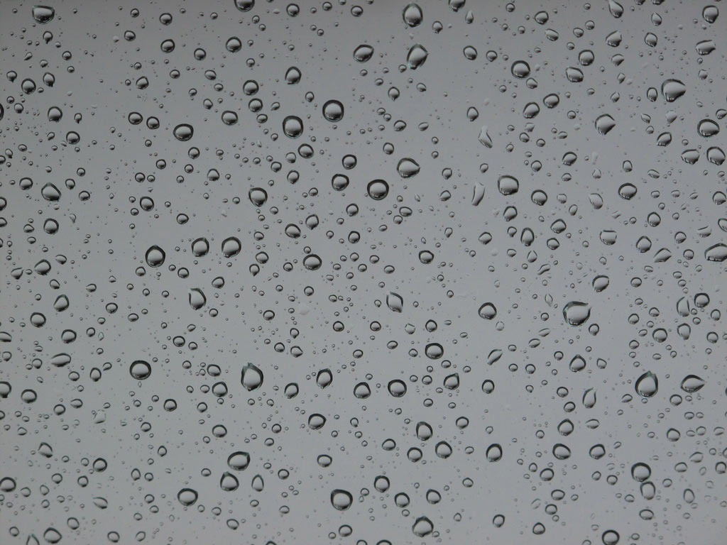 2009-04-32_manuela-hahnebach_18 (Foto: Manuela Hahnebach)