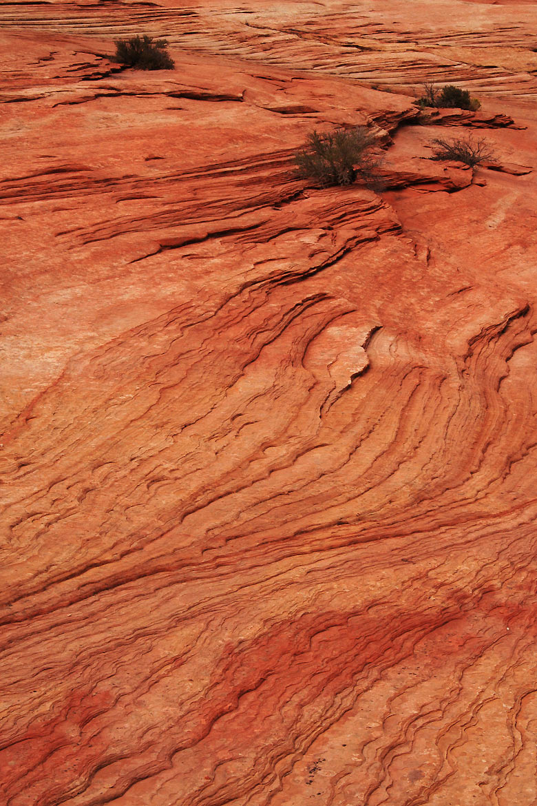 2009-04-33_frank-hausdoerfer_18 (Foto: Frank Hausdörfer)