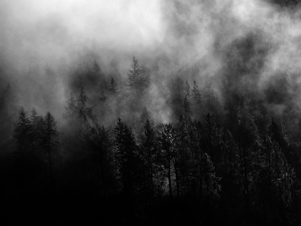 2009-04-zz06_3_S3_peter-zastrow_18 Serie: Wald (Foto: Peter Zastrow)