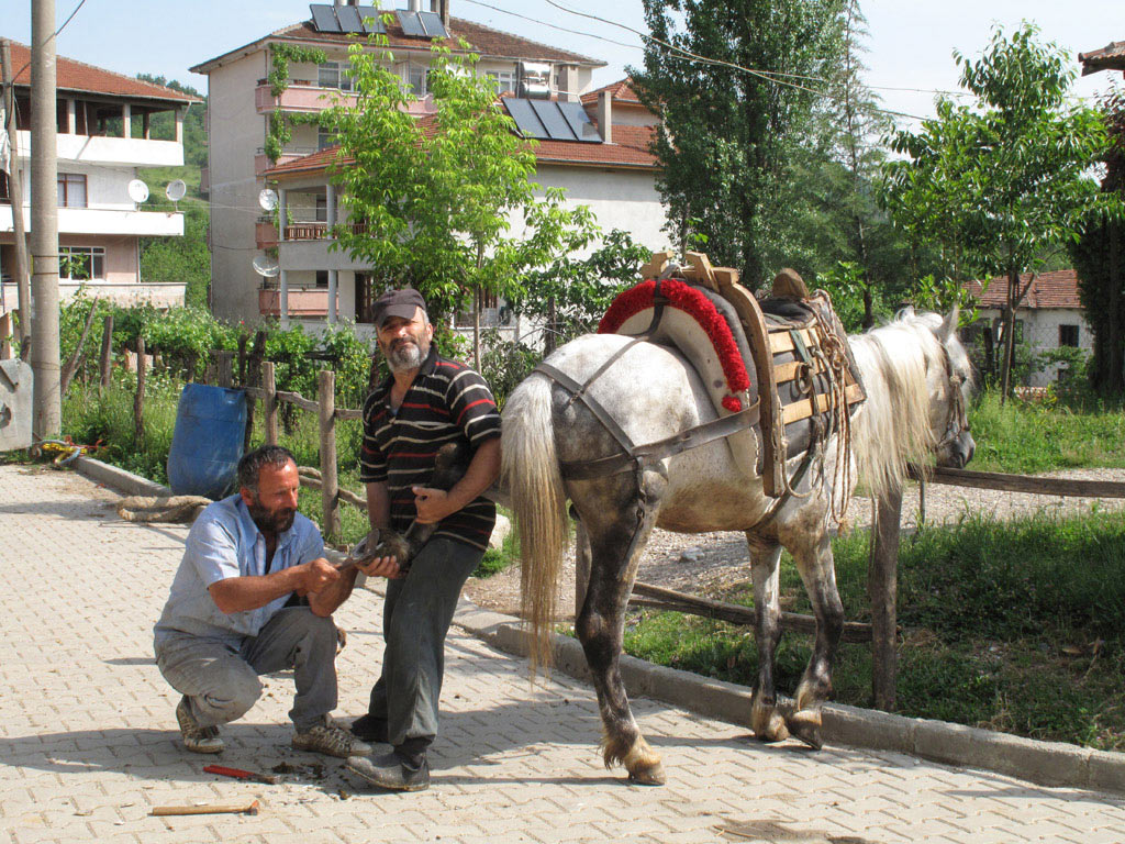 2009-07-21_IMG_3162_manuela-hahnebach_14 Türkischer Hufschmied (Foto: Manuela Hahnebach)