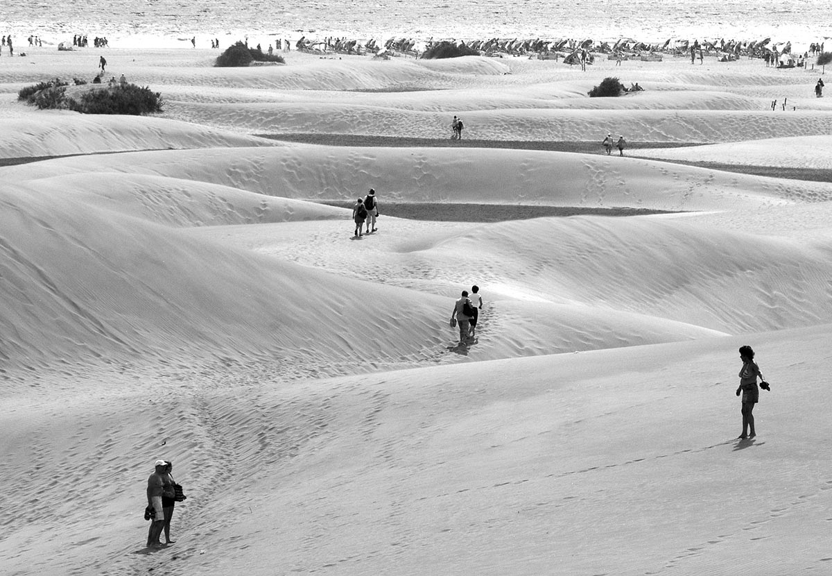 2009-07-zz06_1_DSC_5459_karl-heinz-richter_21 Serie: Dünen (Foto: Karl-Heinz Richter)