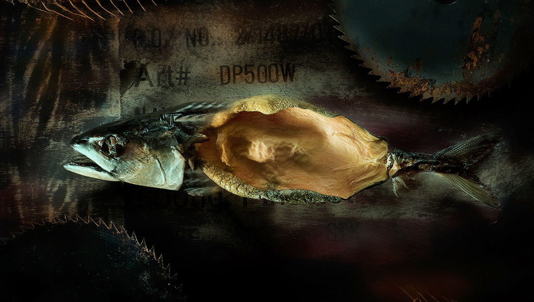 Fisch mit Sägeblatt (Foto: Rainer Koch)