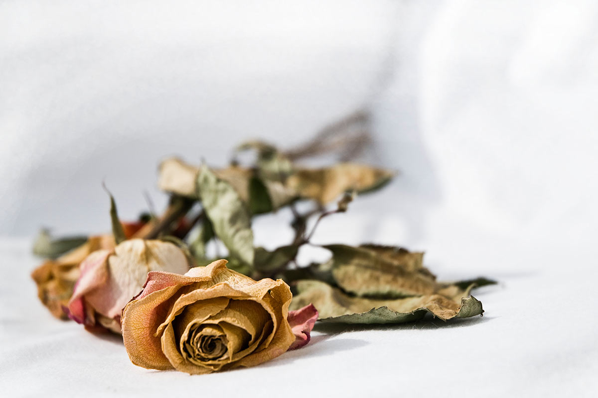 Herbst (Foto: Karl-Heinz Richter)