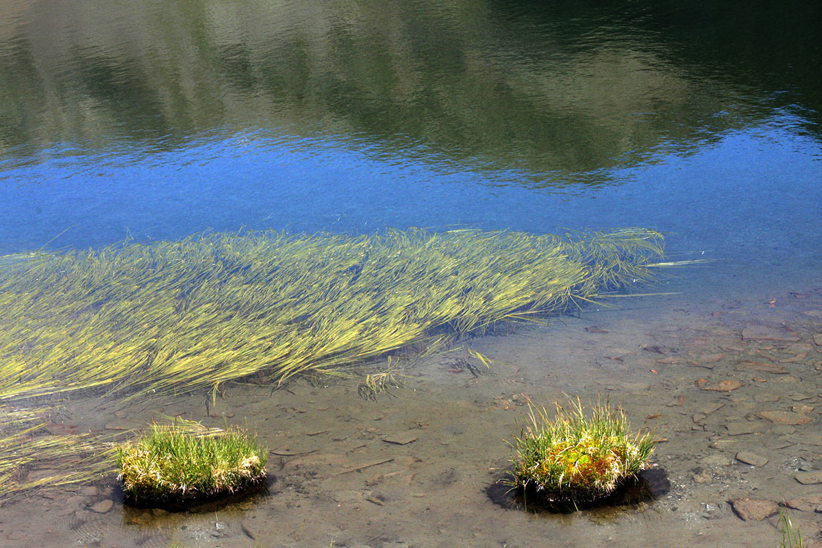 Am Ufer (Foto: Peter Maximilian Schmidt)