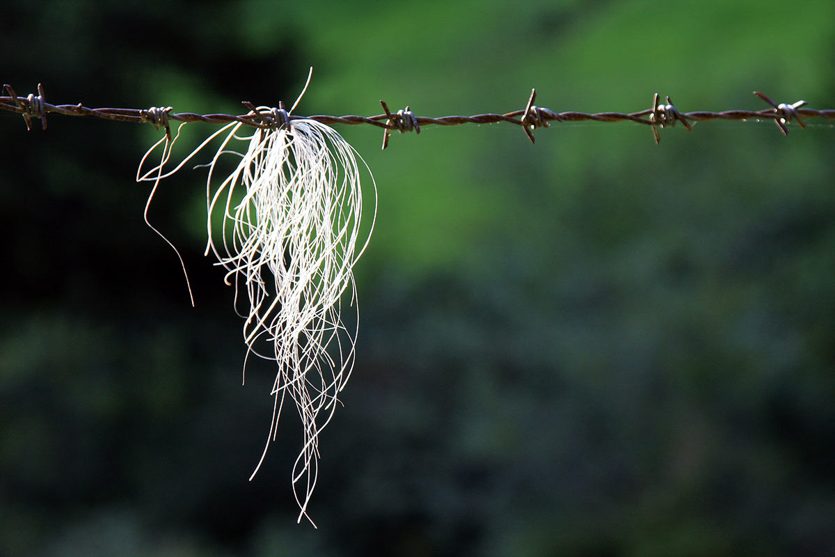 Rest (Foto: Peter Maximilian Schmidt)