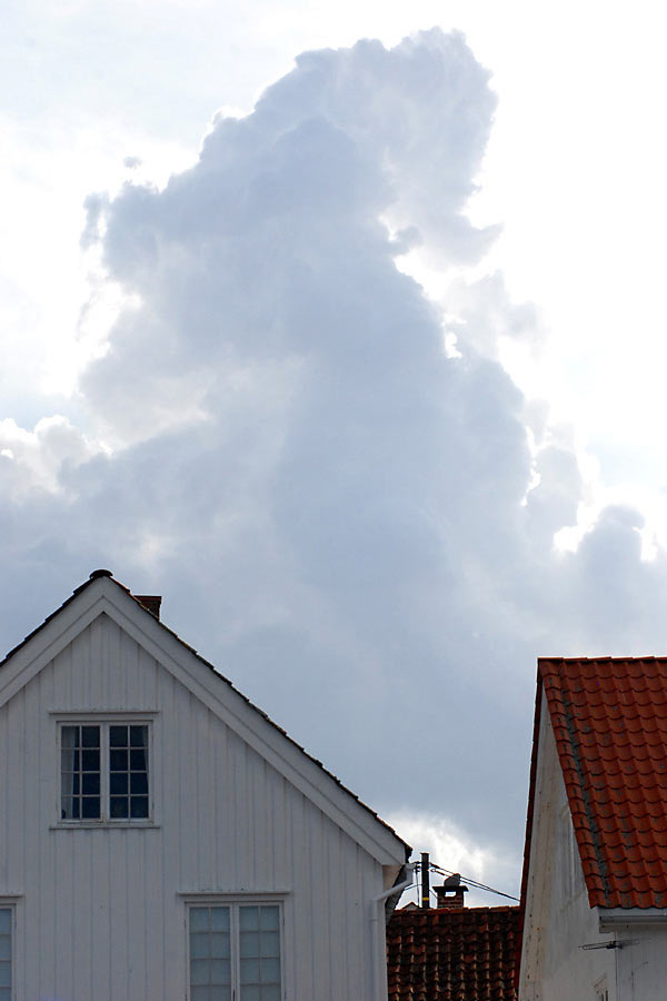 Wolke (Foto: Günter Giese)