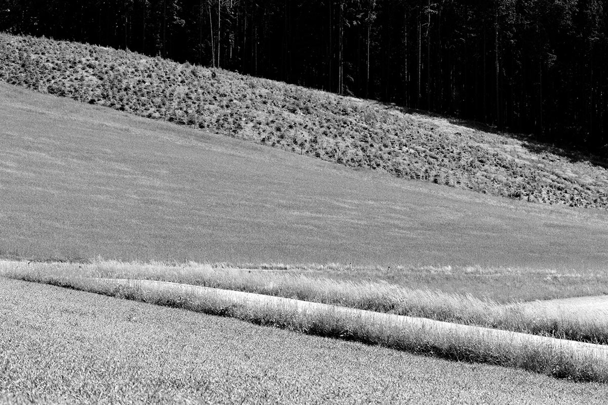 Serie: Landschaft (Foto: Ute Zohles)