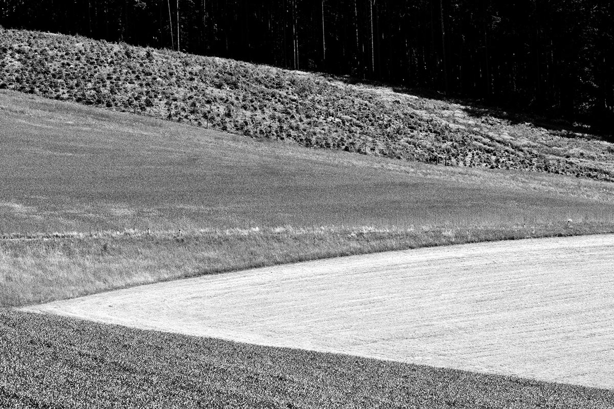 Serie: Landschaft (Foto: Ute Zohles)