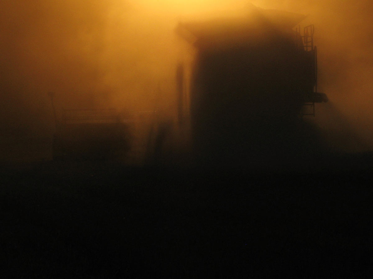 Serie: Ernte (Foto: Peter Maximilian Schmidt)