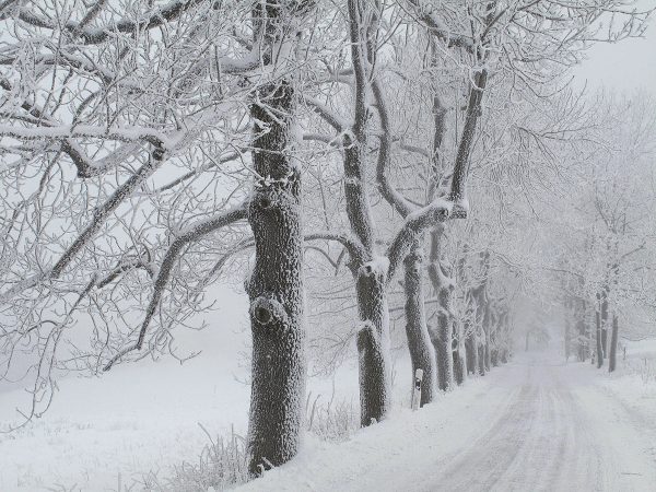 Frostiger Morgen am Dolmar (Foto: Andreas Kuhrt)
