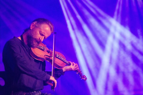 Geiger (Foto: Günter Giese)