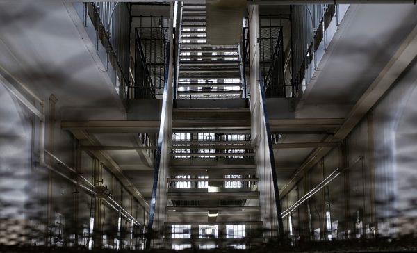 Gitterblick (Foto: Ute Zohles)