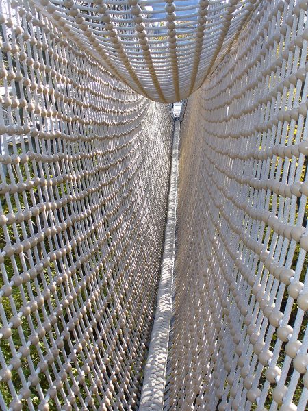 Hainich (Foto: Carolin Fritz)