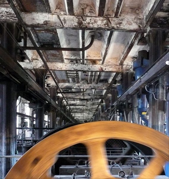 Knappenrode (Foto: Carolin Fritz)