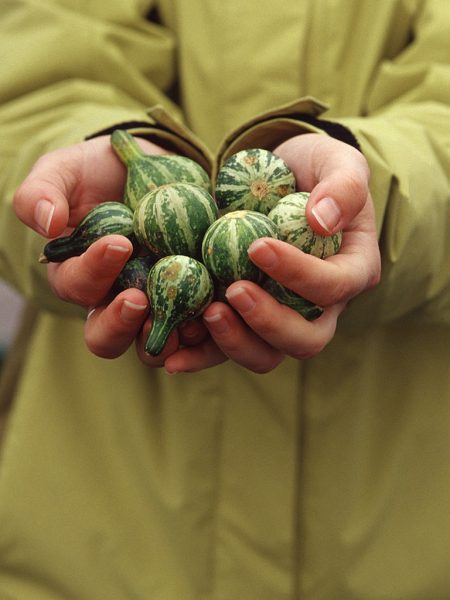 Mitbringsel (Foto: Tilo Bössel)