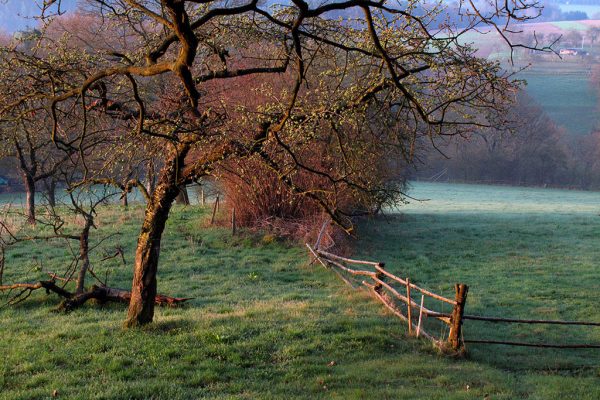 Ostermorgen (Foto: Manuela Hahnebach)