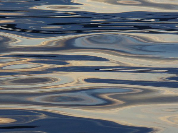 Reflexe (Foto: Carolin Fritz)