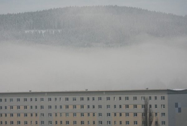 Suhlstimmung (Foto: Peter Maximilian Schmidt)