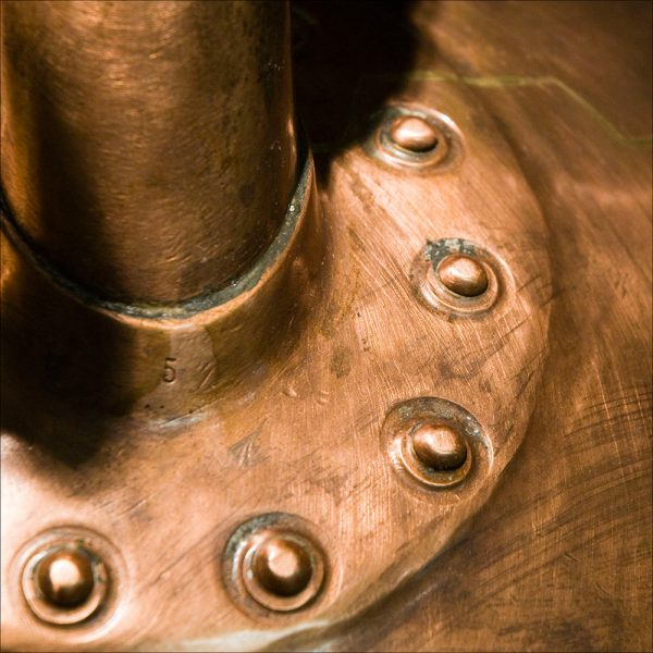 Wilthener (Foto: Karl-Heinz Richter)