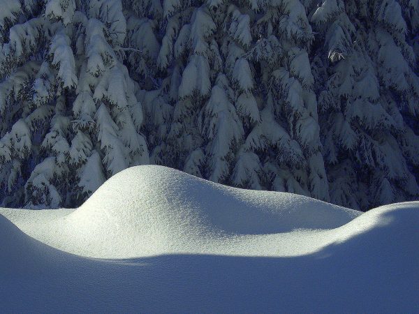 Winter (Foto: Karl-Heinz Richter)