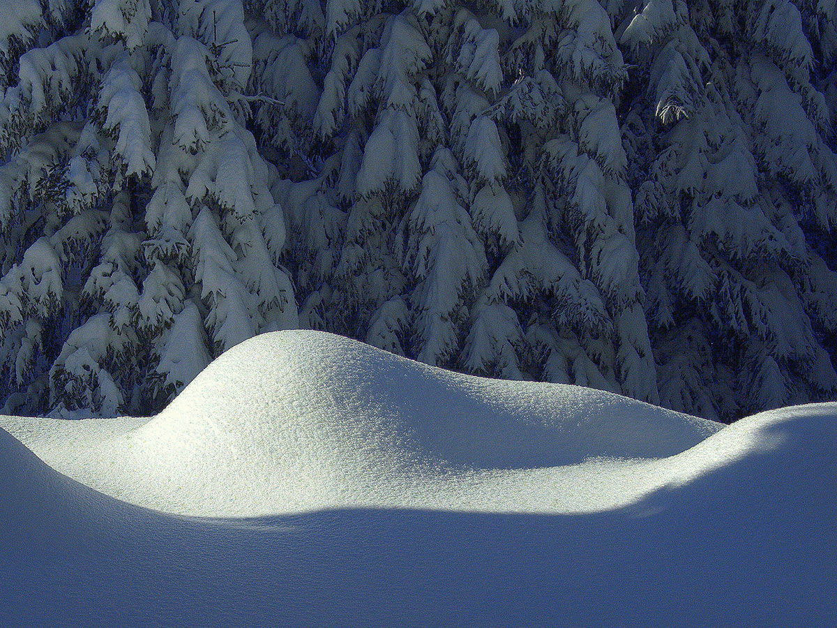2009-bdj-100_winter_karl-heinz-richter_18 Winter (Foto: Karl-Heinz Richter)