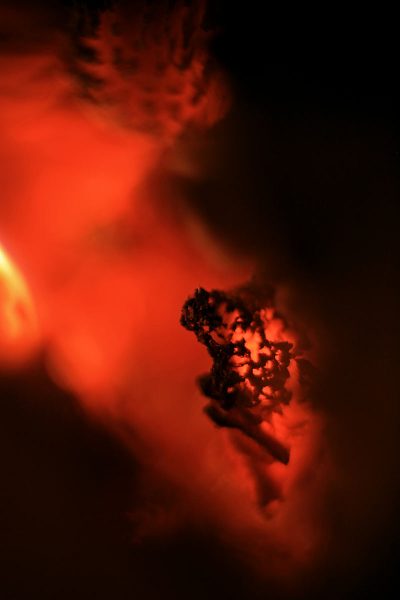 Kaminabend (Foto: Sandra Heußinger)